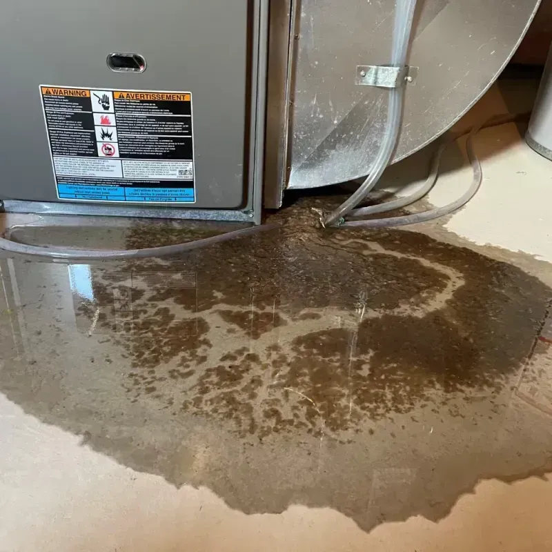 Appliance Leak Cleanup in Leavittsburg, OH